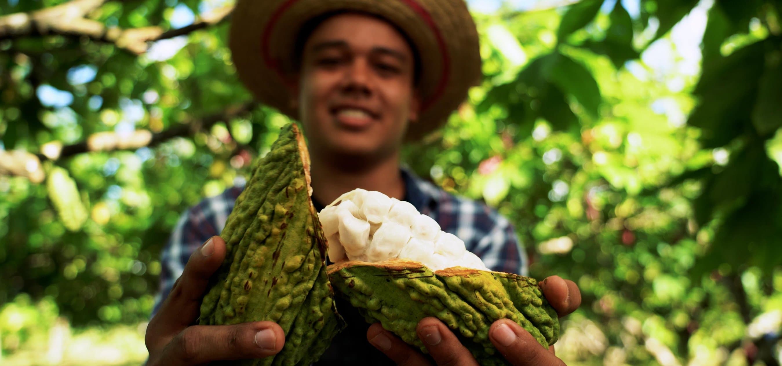 Sociobioeconomia Pan-Amazônia