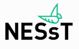 NESsT