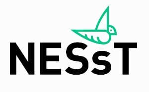 NESsT